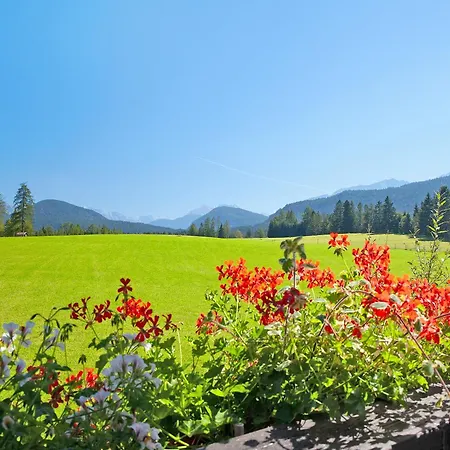 3 Haus Am Laerchenhang Daire *